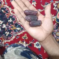 فروش خرمای پیارم