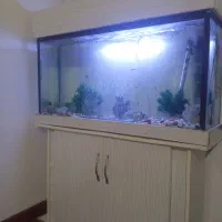 اندازه ۱۲۰×۳۰ارتفاع ۶۰