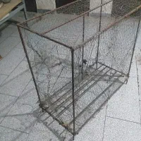 قفس مرغ و پرنده خانگی