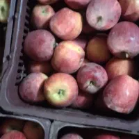 زیر سورت۱۲۰تن|خوردنی و آشامیدنی|اشنویه, |دیوار