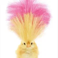 امورات اداری