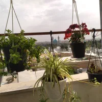 نقلی دوخوابه المهدی|اجارهٔ آپارتمان|کرج, المهدی|دیوار