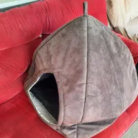 جای خواب گربه