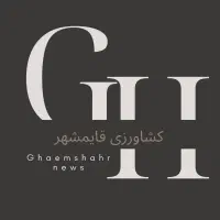 رهن کامل یا رهن و اجاره برای کشت محصولات زراعی|اجارهٔ دفتر صنعتی، کشاورزی، تجاری|قائم‌شهر, |دیوار