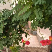 (بهترین دسترسی تراس بزرگ) ملک الشعرا فاز۸|فروش آپارتمان|پردیس, فاز ۸|دیوار