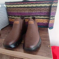 نیم پوت درجه 1ضمانتی