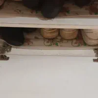 جاکفشی سالم