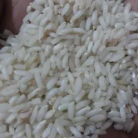 برنج عنبر بو