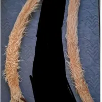 دسته طبل