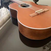 گیتار پارسی|گیتار، بیس، امپلیفایر|تهران, جمهوری|دیوار