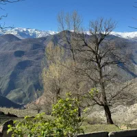 یک-قطعه-زمین-صنعتی