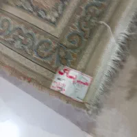 قالی 12متری پر تراکم وواقعا مستحکم