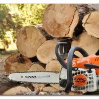 برش خرید درخت  اکالیپتوس مرد و بقیه اانواع