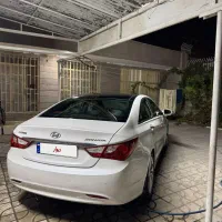 سوناتا تک برگ سند