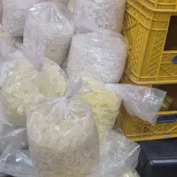 خورده نبات|خوردنی و آشامیدنی|تهران, شهرک فردوس (حسینی)|دیوار
