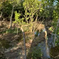 باغچه-پانزده-ساله-600-متری