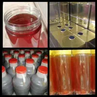 پخش عسل تغذیه عمده