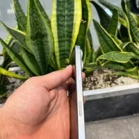 ایفون ۱۶ پرو zaa از دم قسطی طلا یا چک و بازنشسته|موبایل|اصفهان, مفتح|دیوار