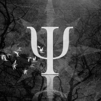 سوئیت قیمت مناسب می‌خوام