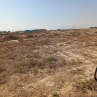 زمین مناسب باغ و باغچه|فروش زمین و ملک کلنگی|جوادآباد, |دیوار