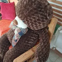 واگذاری خرس بزرگ عروسکی