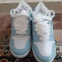 کتونی نایک|کیف، کفش، کمربند|مهاجران, |دیوار