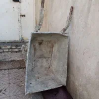 یک عدد فرقون سالم و محکم موجود