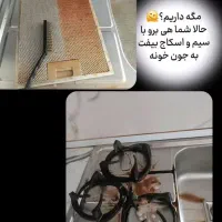 چربیزدا نانو|مواد شوینده و دستمال کاغذی|بندرعباس, |دیوار