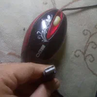 کیبورد و موس|قطعات و لوازم جانبی رایانه|محمدشهر, شهرک پیام (مهرالبرز)|دیوار