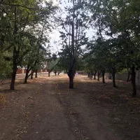 زمین ۱۲۰۰ متری احمد آباد دماوند