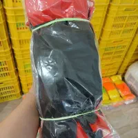 پخش دستکش|ابزارآلات|قروه, |دیوار