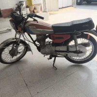 09176598194