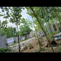 فروش فوری زمین ۳۵۰متر با شرایط عالی|فروش زمین و ملک کلنگی|رشت, بوسار|دیوار