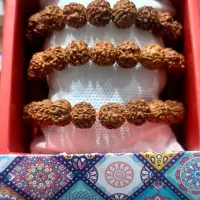 انواع رودراکشا تسبیح گردنبند|بدلیجات|تهران, بازار|دیوار