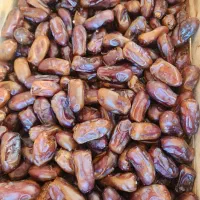 استخدام کارگر خانم جهت بسته بندی خرما