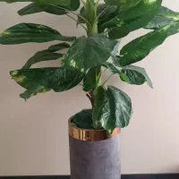 گلدان و درختچه مصنوعی