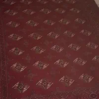فرش دست بافت ترکمنی|فرش|گرگان, |دیوار