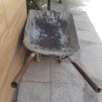 فرغون