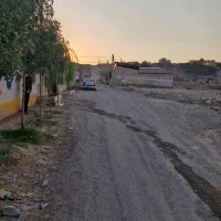 زمین ۱۲۰۰ متری|فروش زمین و ملک کلنگی|محمدشهر, علی آباد گونه|دیوار