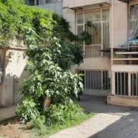 ویلایی ۳۸۰متر با پروانه کاشانی فروشی