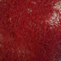 چیدن وپاک کردن زعفران|خدمات باغبانی و درختکاری|خرم‌آباد, |دیوار