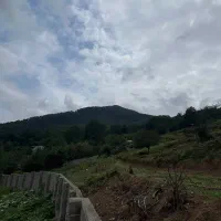 هشتصد متر بافت مسکونی