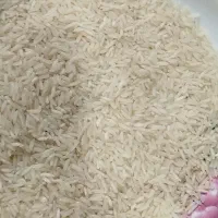 برنج هاشم درجه یک|خوردنی و آشامیدنی|رشت, قاسمیه|دیوار