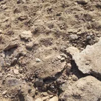 کودحیوانی|لوازم جانبی حیوانات|بمپور, |دیوار