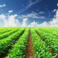 فروش زمین مسکونی