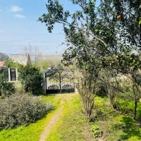 اجاره ویلا گیسوم