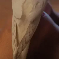 کمکم کنین عروس هلندیم گم شده|پرنده|فردوسیه, |دیوار