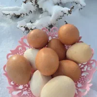 تخم مرغ محلی