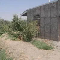 باغ به متراژ ۸۰۰ متر با ۴۵ دقیقه اب روستای دشت