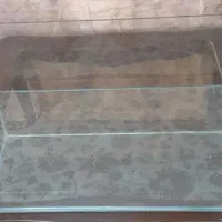 اگواریوم